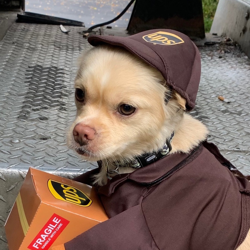 Meet your Posher, Susie